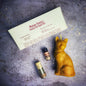 Lucky Cat Candle Spell Kit