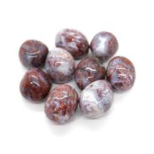 Red Moss Agate Tumbled