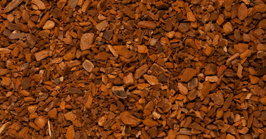 Sassafras Root Bark 1oz
