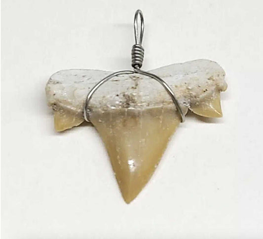 Shark Tooth Necklace