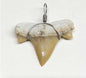 Shark Tooth Necklace